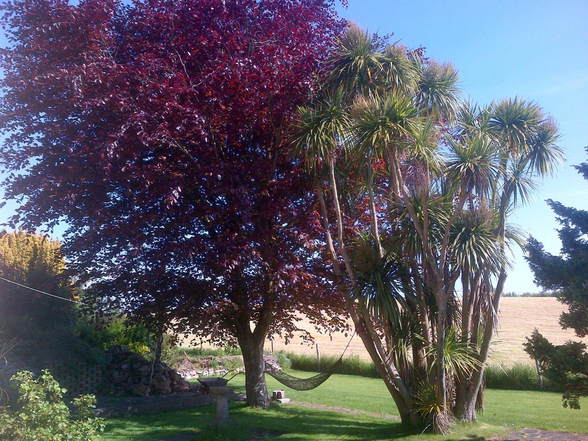Bed and Breakfast Wychwood House Penally Esterno foto